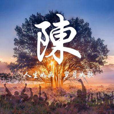 苏彦韬：搭建美中文化交流之桥 让中国电影被“看见”